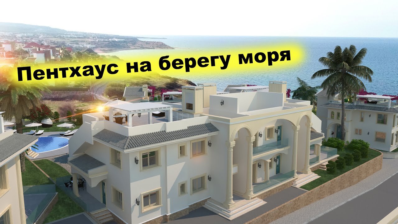 video image