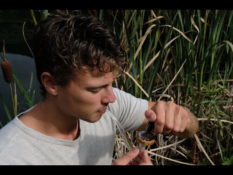 How to Use the Lotus Vaporizer – Complete Beginner’s Guide