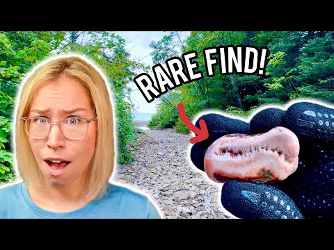 Il Lago Superiore ha detto: Chi trova tiene (e così abbiamo fatto)