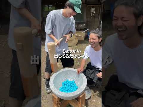 ペットの謎は解けた?