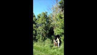 preview picture of video 'abattage d'un arbre mort avec la tronçonneuse stihl MS170 à Beaune la Rolande (45)'