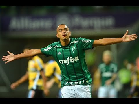 Gol de Papagaio - Palmeiras 5 x 0 Novorizontino - Narração de Nilson Cesar