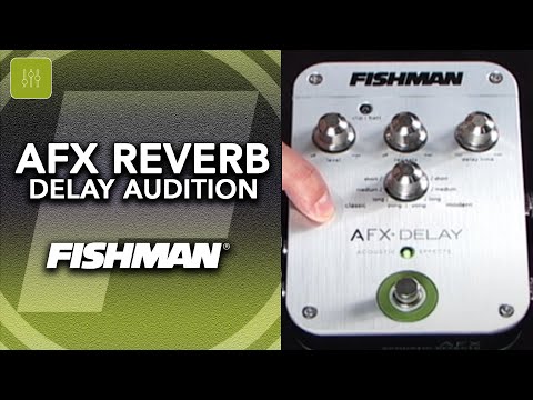 Fishman AFX Delay image 5