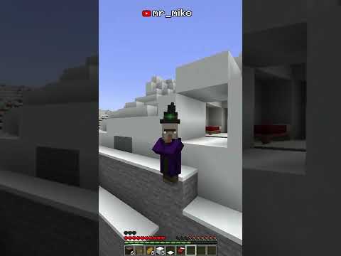The Story Of Minecraft Witch