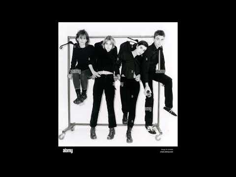 ELASTICA ++ S. O. F. T.  volume version