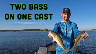 Catching two at a time!