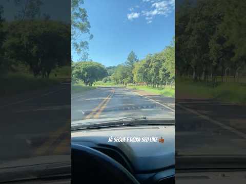 Londrina a São Sebastião da Amoreira
