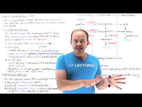 Congenital adrenal hyperplasia