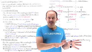 Download lagu Congenital adrenal hyperplasia mp3 Download lagu Congenital adrenal hyperplasia mp3