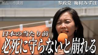 【梅村みずほ】メガソーラーはいいことなし！崩壊寸前の「日本の当たり前」を必死に守り抜く方法【参政党】【加古川市議選】【高画質テロップ版】