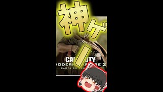 新作CODMW2が神げー過ぎる件ｗ