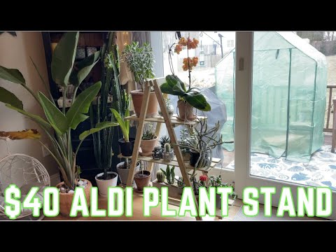 Belavi Plant Stand