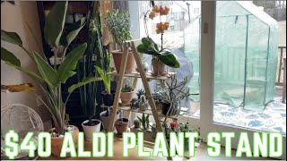 $40 Aldi Plant Stand!  It's Good, But I Have Some Thoughts