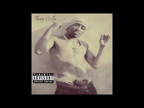 "Thug 4 Life" by Makaveli feat Havikk