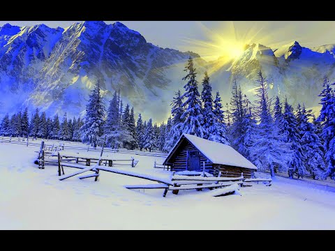 Andris Daņiļenko Ziemassvētku nakts