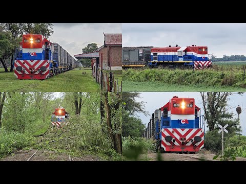 Tren de NCA circulando por la División Las Junturas + PROBLEMAS en la VÍA