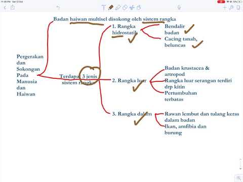 BIOLOGI BAB 2(BAHAGIAN 1) -PERGERAKAN DAN SOKONGAN(SPM TINGKATAN 5)