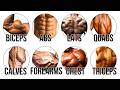 Every Muscle Insertion Explained Good Vs Bad Genetics