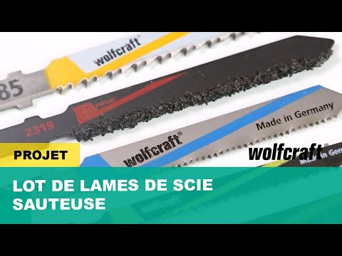 2688000_Jigsaw-Blade-Interior-Works-Project-Set-5-Pcs-T-shank_PRO_MCP_fr_2016.mp4