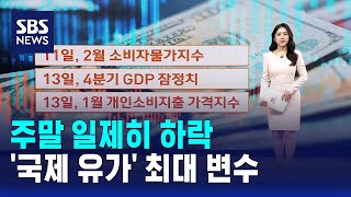 주말 일제히 하락…'국제 유가' 최대 변수 / SBS / 뉴욕증시