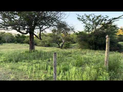 Lote en Venta Camino de la Costa - Gualeguaychú - Maná Bienes Raíces