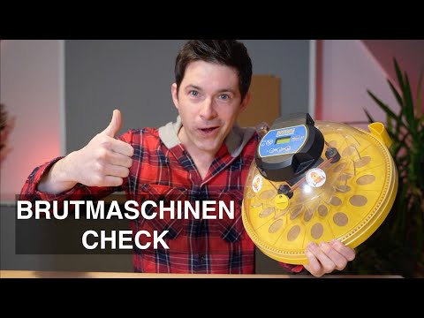 Krasse Schlupfrate Maxi 24 Advance Brutmaschinen Check Brinsea