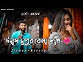 উদাস দুপুর বেলা সখি 👀🌺 || Udas Dupur Bela Sokhi || (Slowed+Reverb) Bangla Lo-fi So