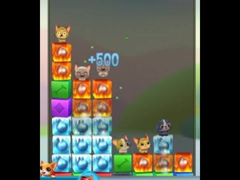 Pet Rescue Saga Level 6229 no boosters