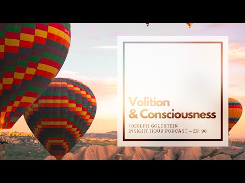 Joseph Goldstein – Insight Hour – Ep. 98 – Volition and Consciousness
