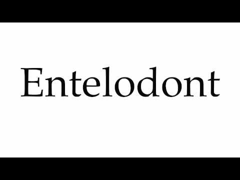 How to Pronounce Entelodont