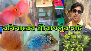 রবিবারের শ্রীরামপুরের হাটে | Serampore Pet Market | Aquarium Fish Pet Market Serampore | Pet Market