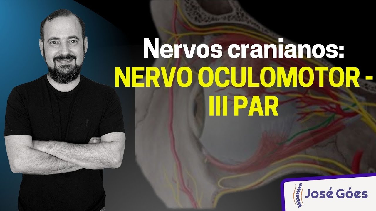 Nervos cranianos: NERVO OCULOMOTOR - III PAR | José Góes