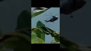 Download lagu FILM AFRIKA YANG PALING KOCAK mp3