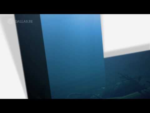 SVT Kunskapskanalen Channel ID "Water" - Dallas Sthlm