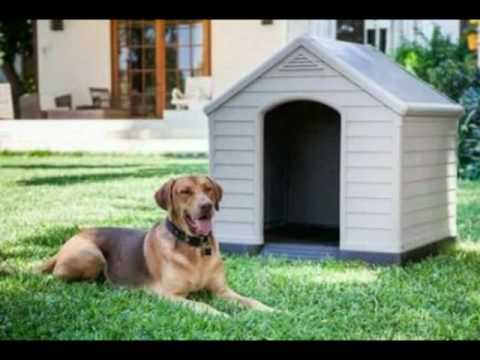 A Tribute To Paul McCartney - Jorge Gonçalves