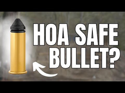 The Worlds Quietest Bullet: 22 Colibrí…