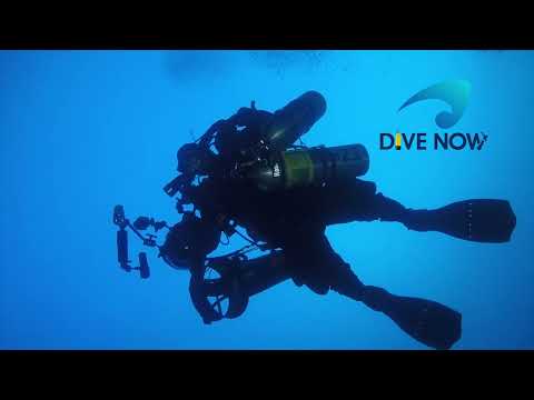 Scuba Diving the Poor Knights Islands.