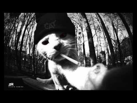 Clasic beat Kot.Prod.M I E L C A R