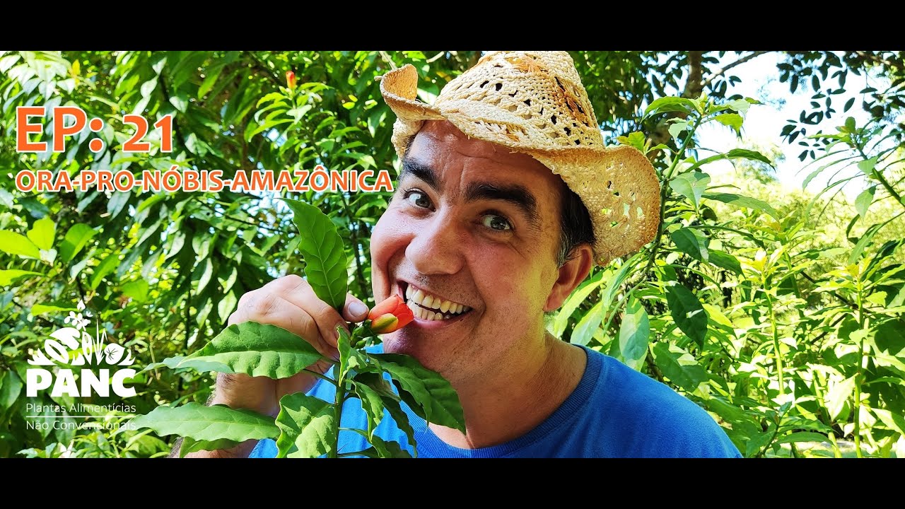 EPISÓDIO 21 - ORA-PRO-NÓBIS-AMAZÔNICO | #pancnaveia #valdelykinupp