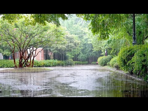 Soothing Rain Sounds in a Quiet Park. Just Listening Calms Your Mind & Helps You to Deep Sleep