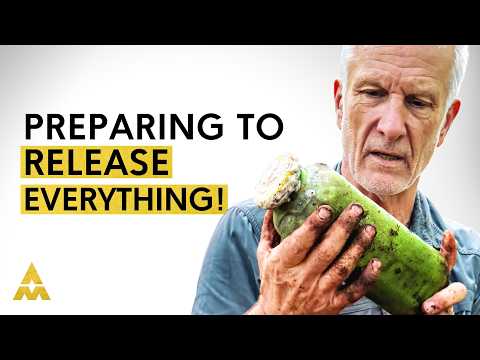 Knights Templar Has 8 Secret Scrolls From JESUS HIMSELF?! | Scott Wolter