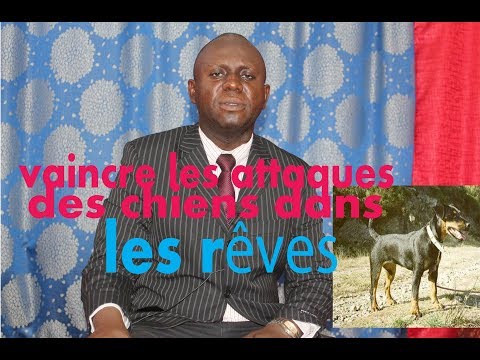 download lagu mp3 mp4 Reve Chien, download lagu Reve Chien gratis, unduh video klip Reve Chien