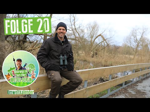 Wildes Berlin: Unterwegs mit Derk Ehlert, Folge 20 - Tiefwerder Wiesen: Von Wasser- und Vogelwelten