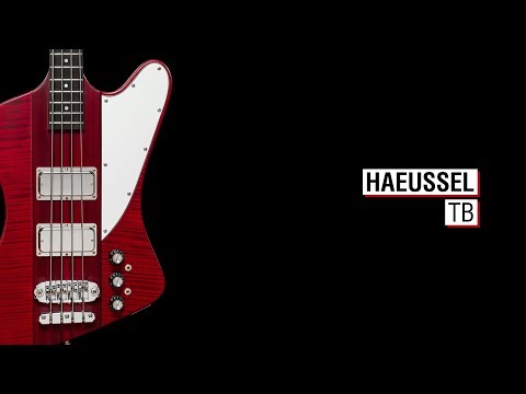 Haeussel TB - Maruszczyk Phoenix 4p