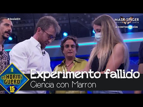 Marron 'cura' las heridas de un experimento fallido - El Hormiguero