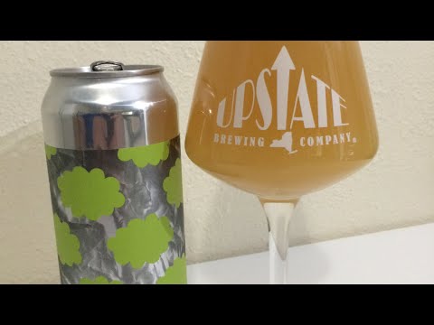Other Half Mylar Daydream DDH #403