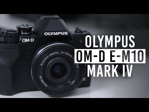 Olympus OM-D E-M10 Mark IV and M. Zuiko 100-400mm f/5-6.3 Lens | Hands-on Review