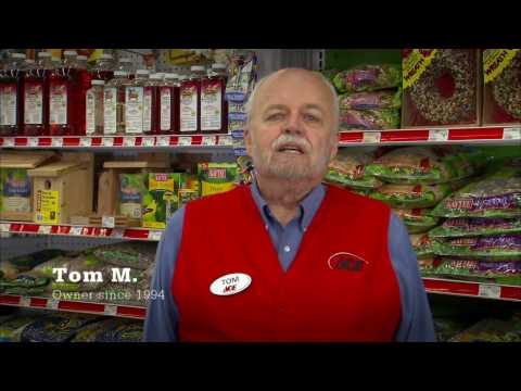 How To Attract Birds - Ace Hardware