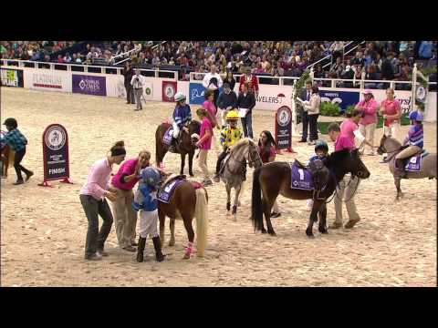 WIHS Shetland Pony Steeplechase, Race 2, Thursday, Oct. 23, 2014
