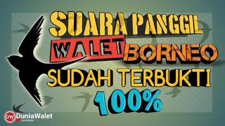 Download lagu SUARA PANGGIL BURUNG WALET ASLI BORNEO TERBAIK mp3 Download lagu SUARA PANGGIL BURUNG WALET ASLI BORNEO TERBAIK mp3